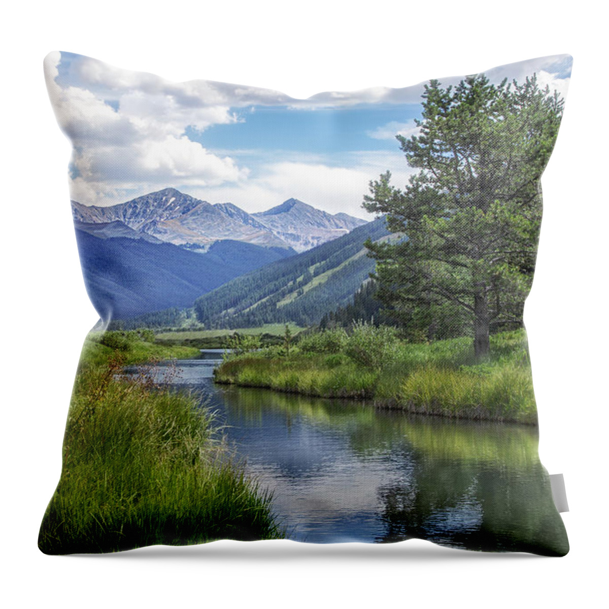 Vail Throw Pillow featuring the photograph Colorado Landscape #1 by James Woody