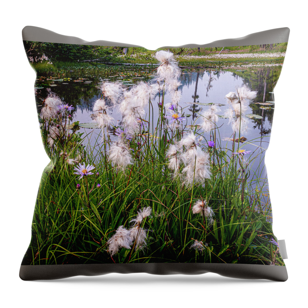 Flowers Throw Pillow featuring the photograph Cotton Grass #1 by Claude Dalley