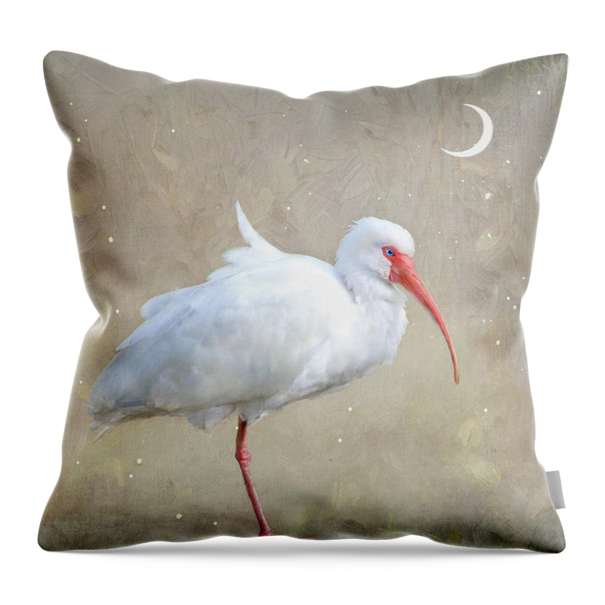 Ibis Throw Pillow featuring the photograph Crescent Moon #1 by Karen Lynch