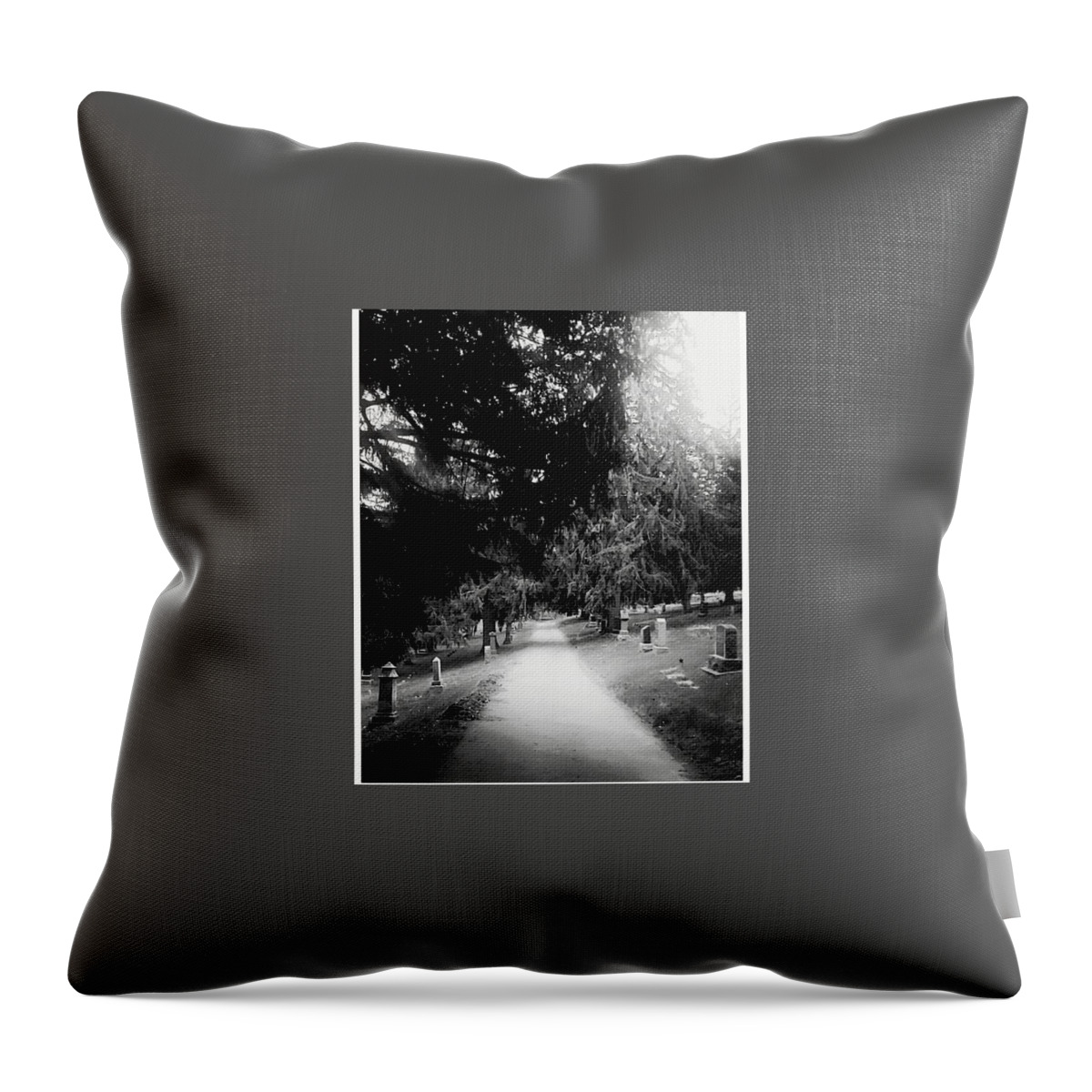 Dark Throw Pillow featuring the photograph Dark beauty #1 by Shalane Poole