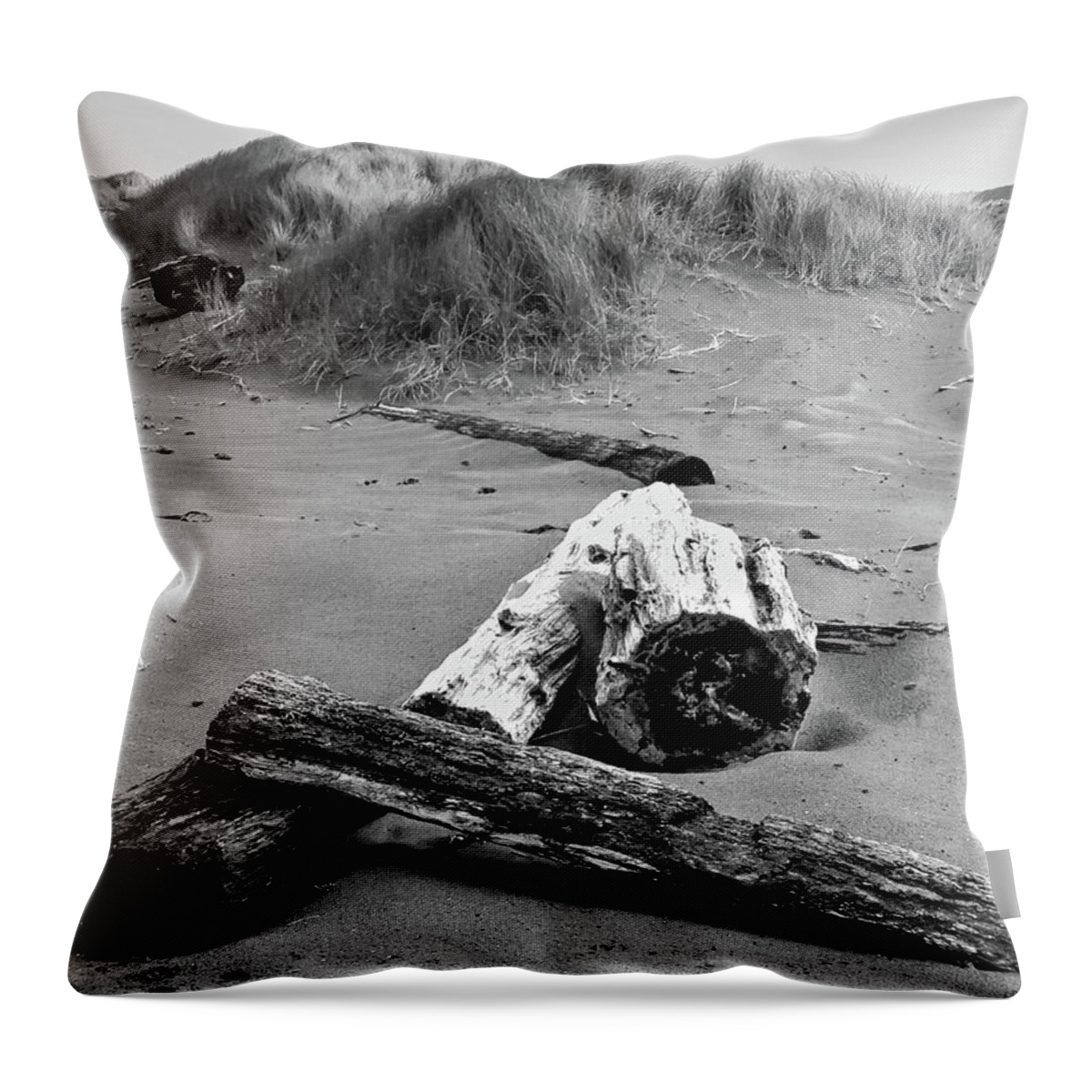  Throw Pillow featuring the photograph Driftwood #1 by Dr Janine Williams