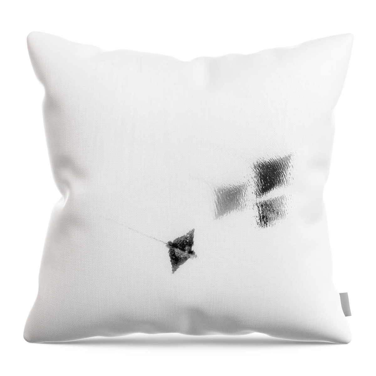 Eagle Ray Throw Pillow featuring the photograph Eagle Rays in Black and White #1 by Christopher Johnson