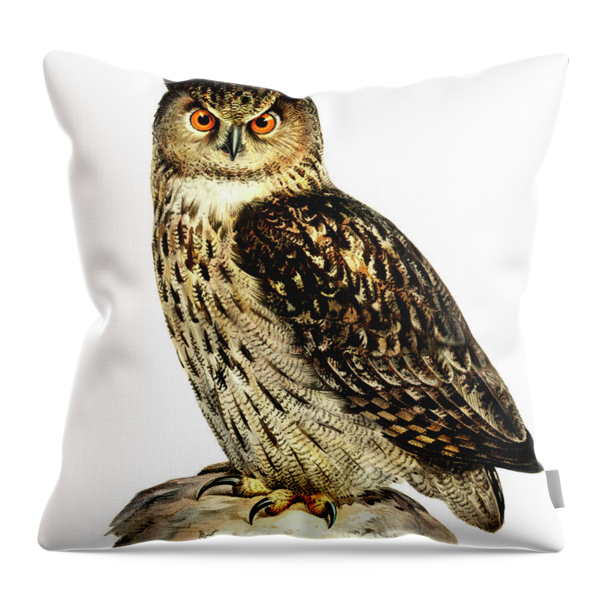 Von Wright Throw Pillow featuring the drawing Eurasian eagle-owl #1 by Von Wright brothers