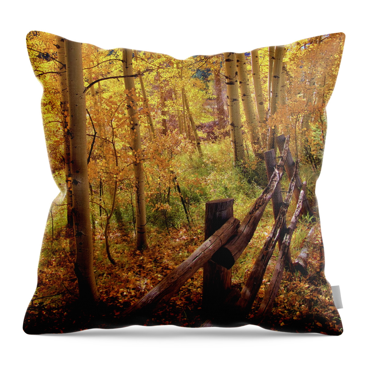 Colorado Throw Pillow featuring the photograph Fall colors #1 by Bob Falcone