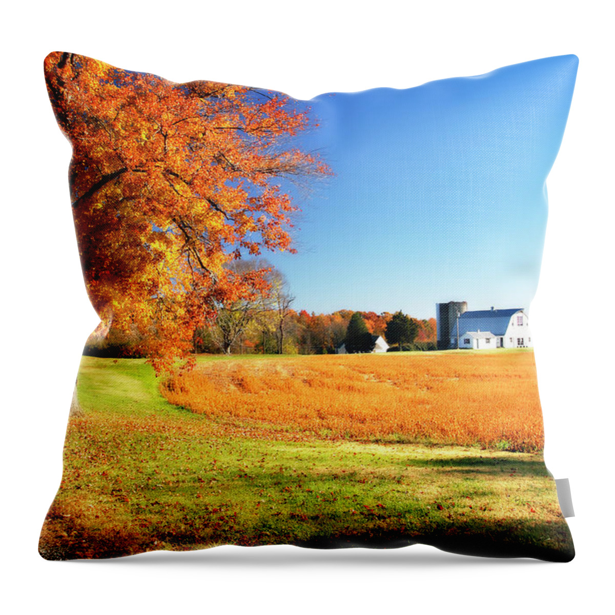 Color Throw Pillow featuring the photograph Family Farm -1 #1 by Alan Hausenflock