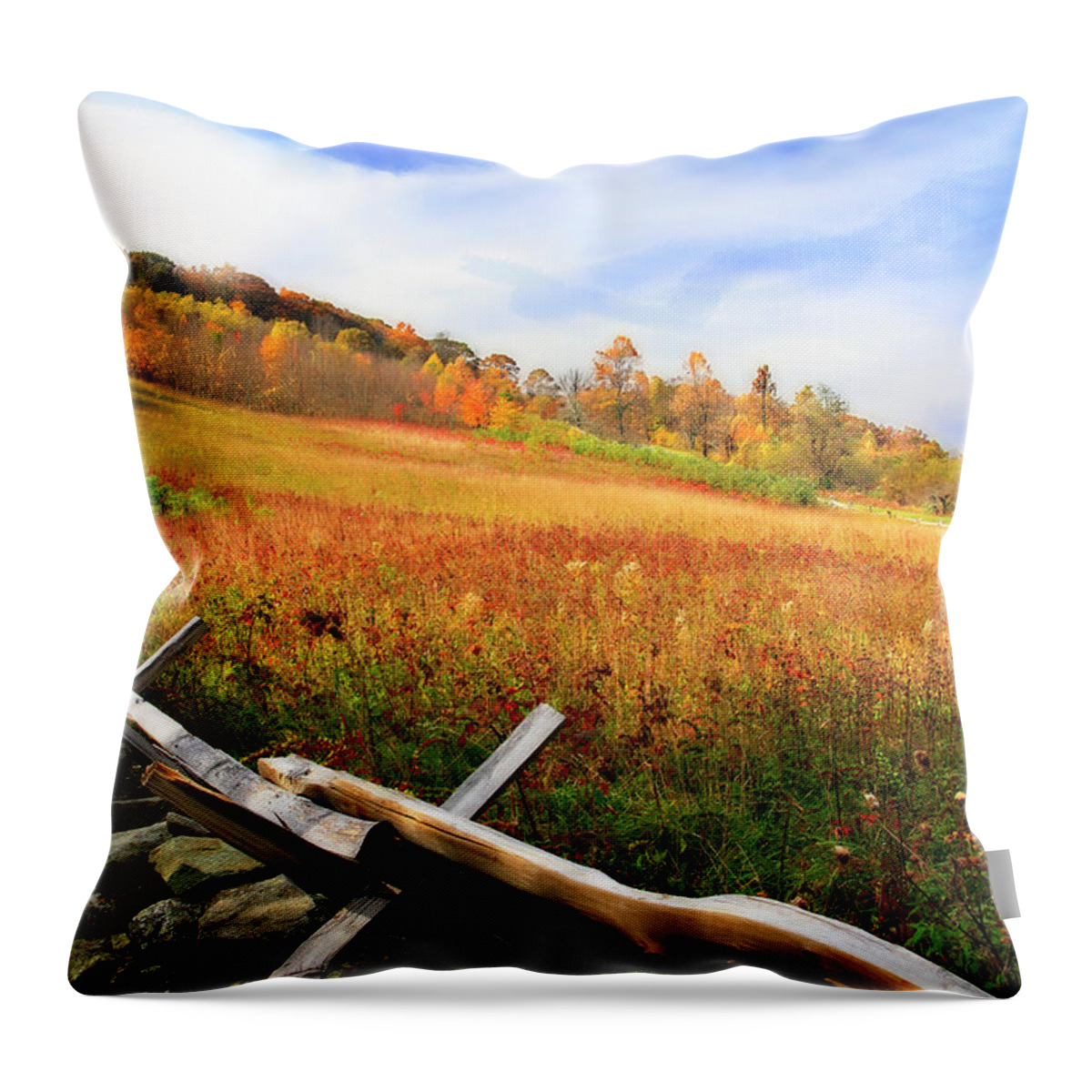 Photo Throw Pillow featuring the photograph Fire Ridge -1 #1 by Alan Hausenflock