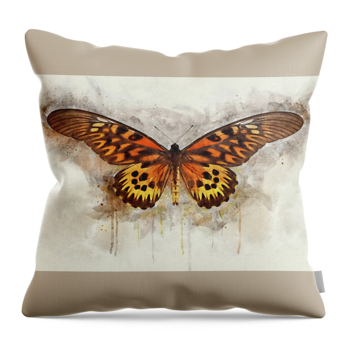 Butterfly Throw Pillow featuring the photograph Flying Colors #1 by Leda Robertson