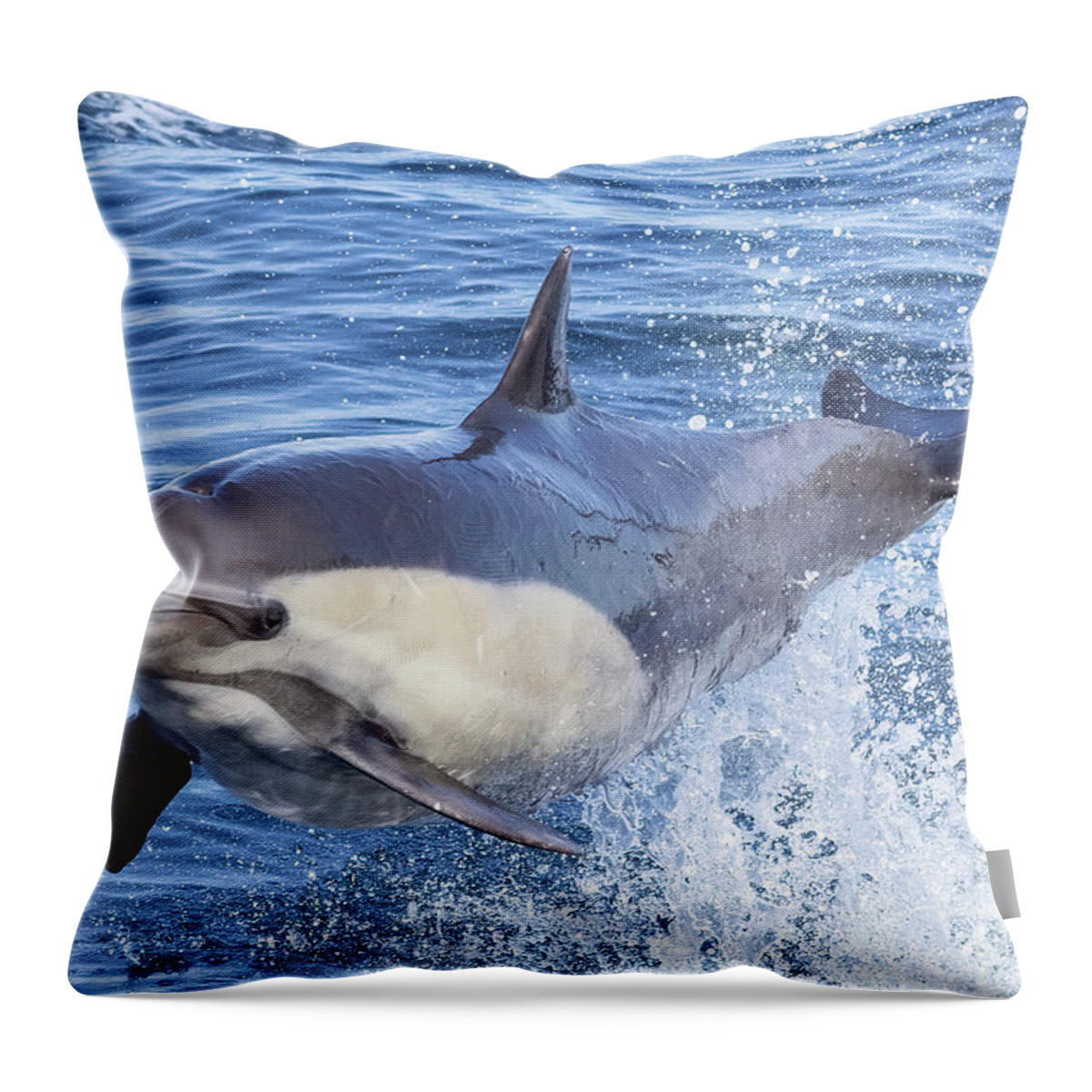 Danawharf Throw Pillow featuring the photograph Flying Dolphin #3 by Loriannah Hespe