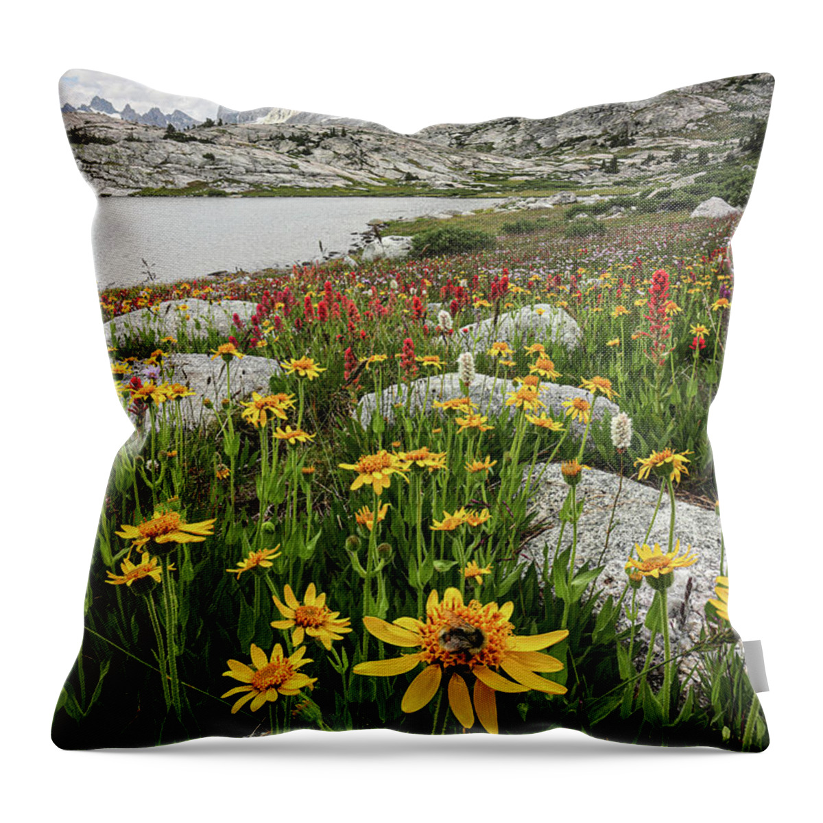 Wyoming Throw Pillow featuring the photograph Fremont Peak and Wildflower Bloom with Bee - Wind River Range by Brett Pelletier