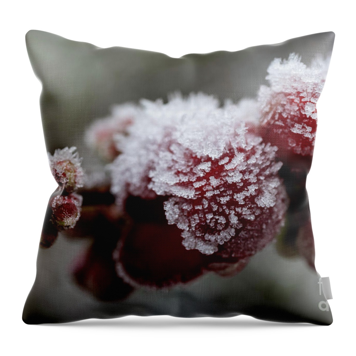 Frozen Throw Pillow featuring the photograph Frozen #2 by Eva Lechner