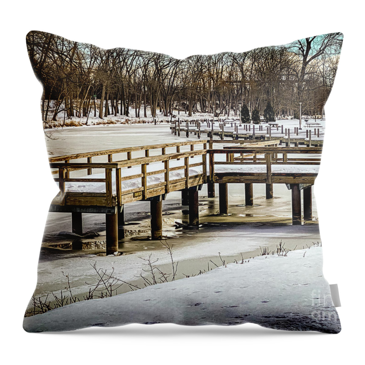 Sun Throw Pillow featuring the photograph Geneva Winter Waterfront 13 #1 by William Norton