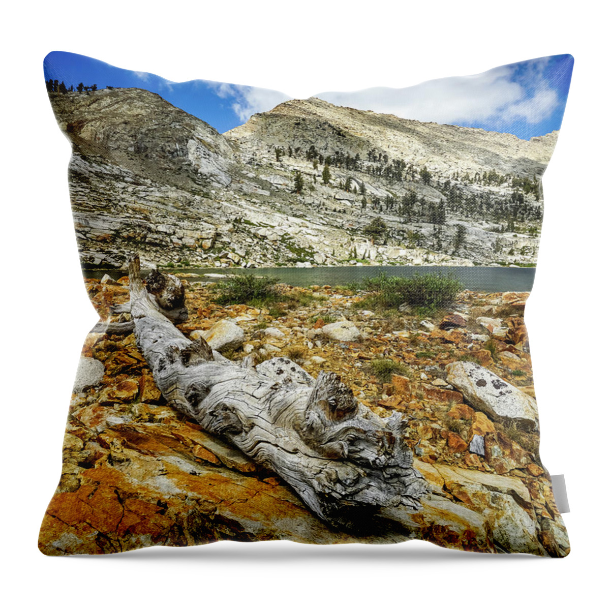 Sequoia National Park Throw Pillow featuring the photograph Ghost Tree #1 by Brett Harvey