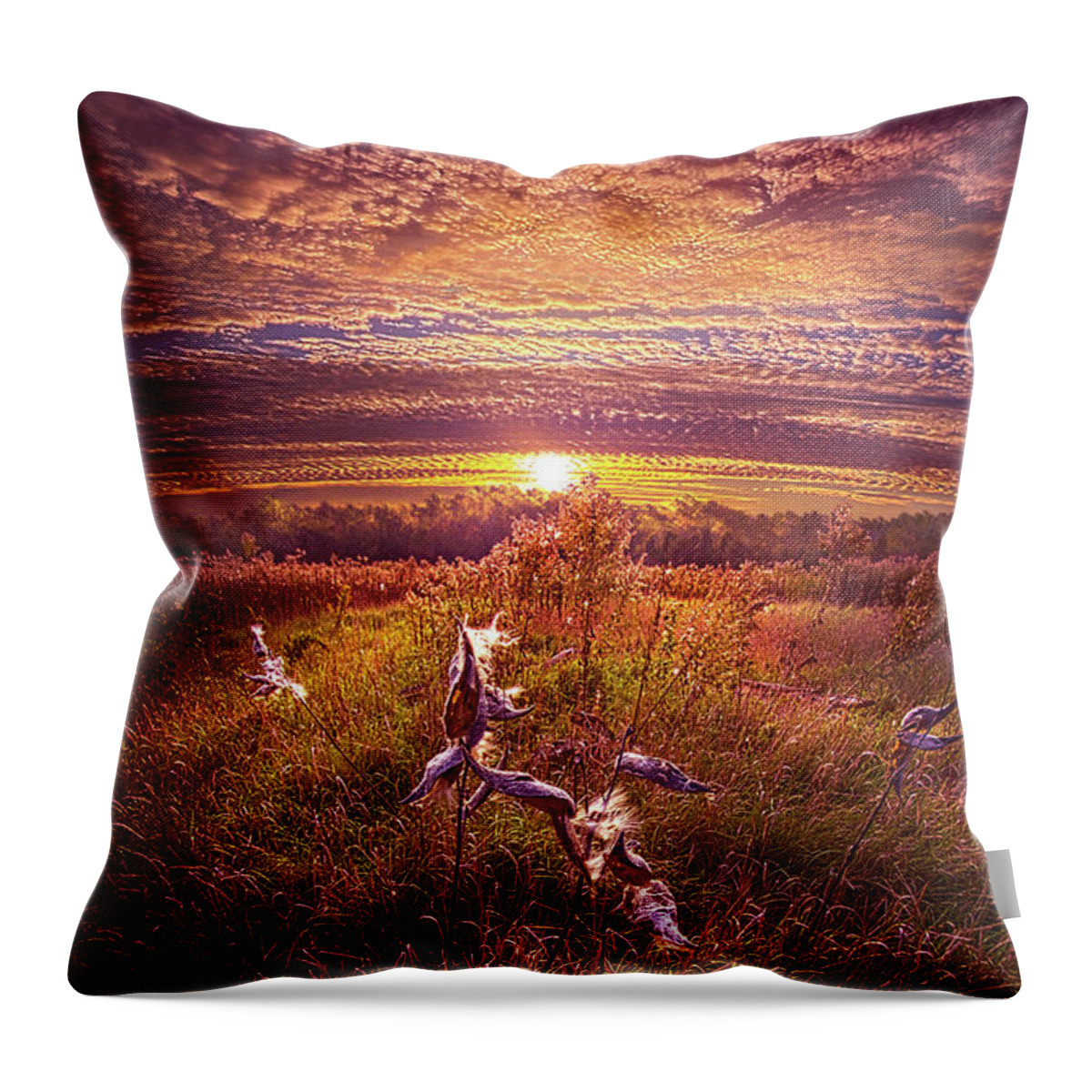Rural Throw Pillow featuring the photograph Giving Thanks #1 by Phil Koch