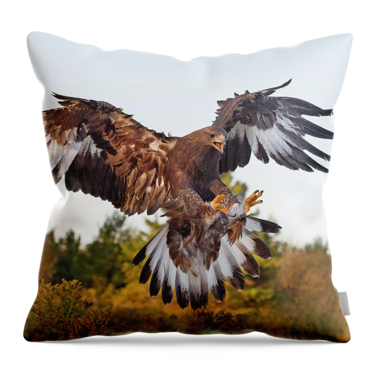 Golden Eagle Throw Pillow featuring the photograph Golden Eagle #1 by CR Courson