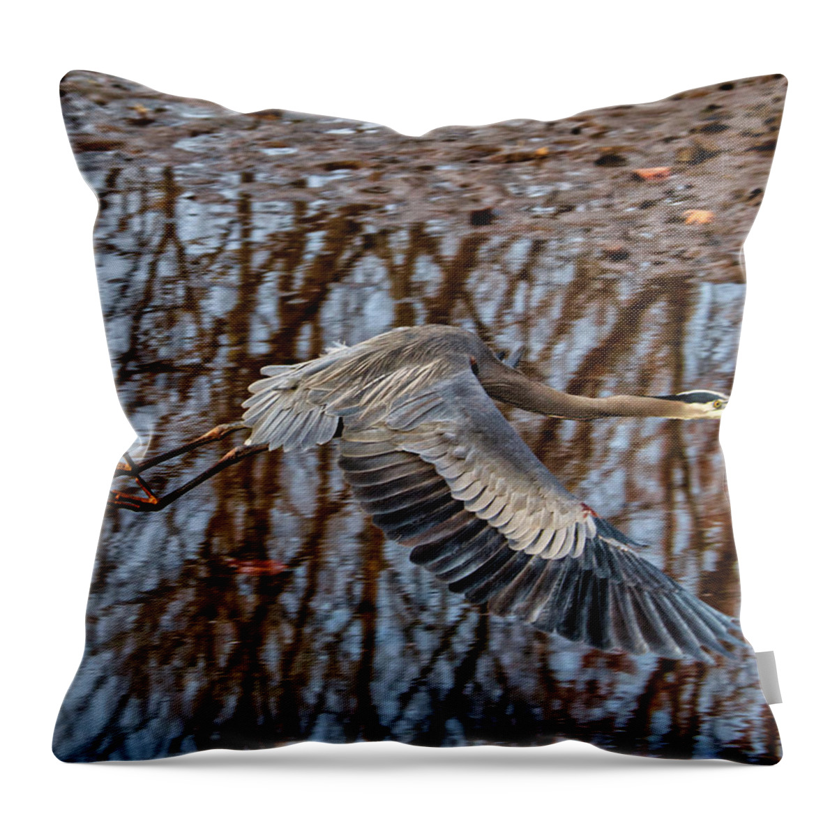 Birds Throw Pillow featuring the photograph Heron in flight #1 by Paul Ross
