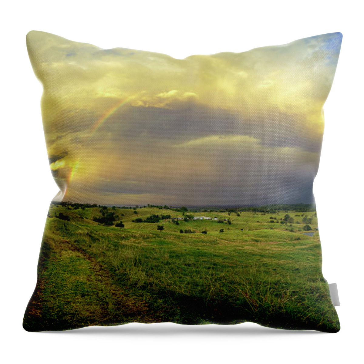 Landscape Throw Pillow featuring the photograph Hinterland by Nicolas Lombard