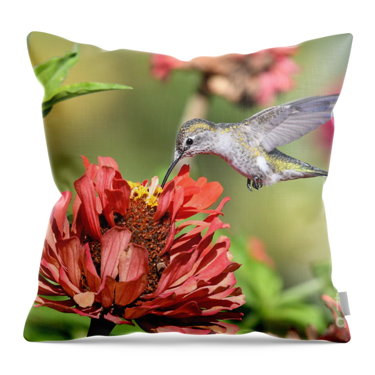Kmaphoto Throw Pillow featuring the photograph Hummingbird Garden #2 by Kristine Anderson