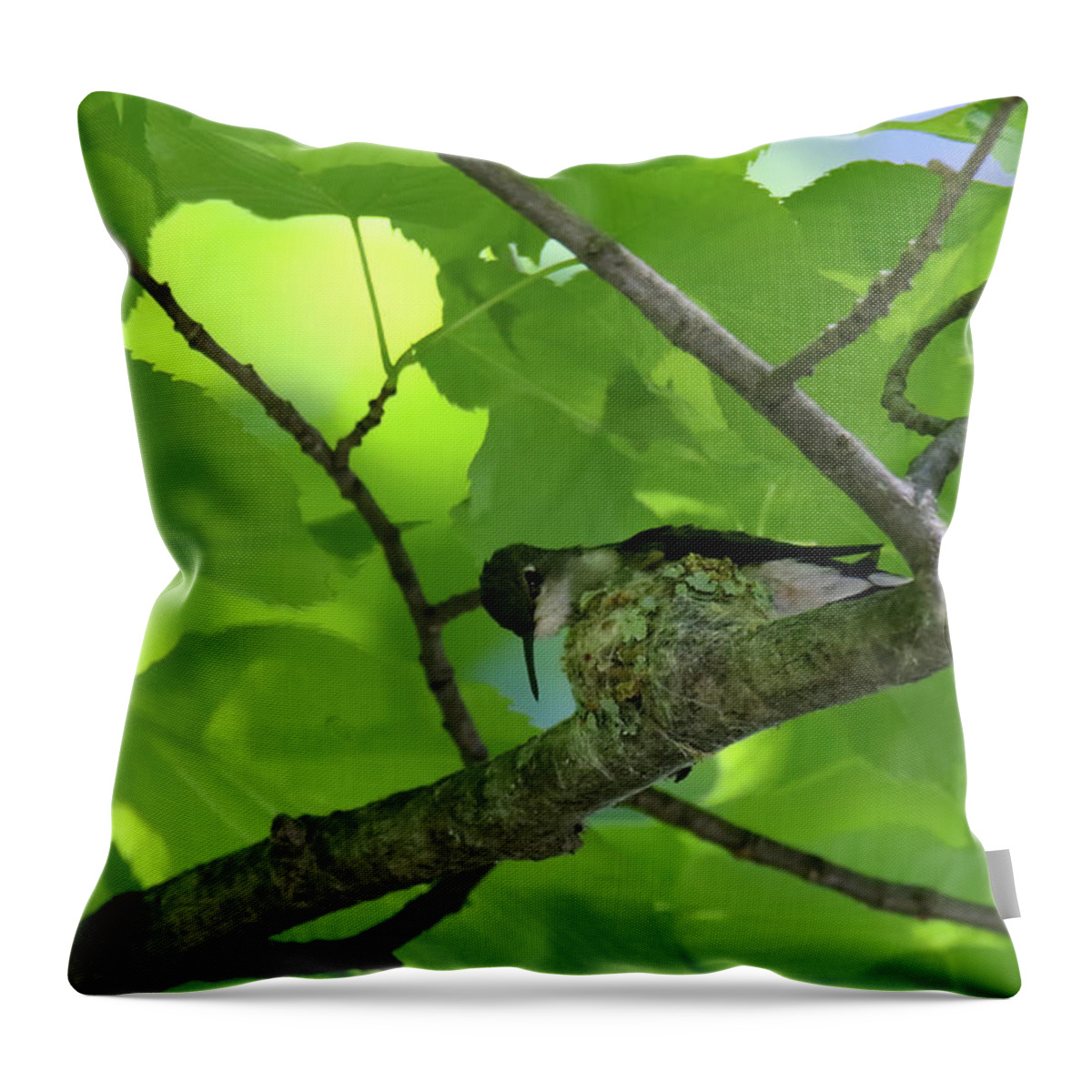 Ruby Throated Hummingbird Throw Pillow featuring the photograph Hummingbird on Nest #1 by Brook Burling