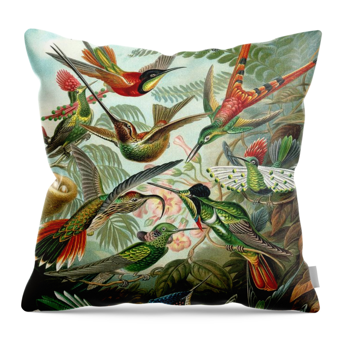 Ernst Haeckel Throw Pillow featuring the painting Hummingbirds #1 by Ernst Haeckel