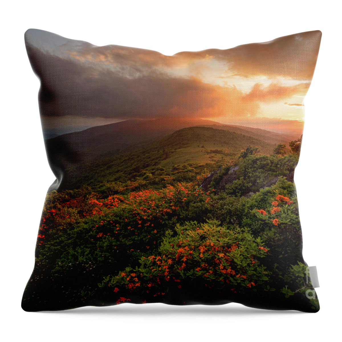 Tennessee Throw Pillow featuring the photograph In a Dream by Anthony Heflin