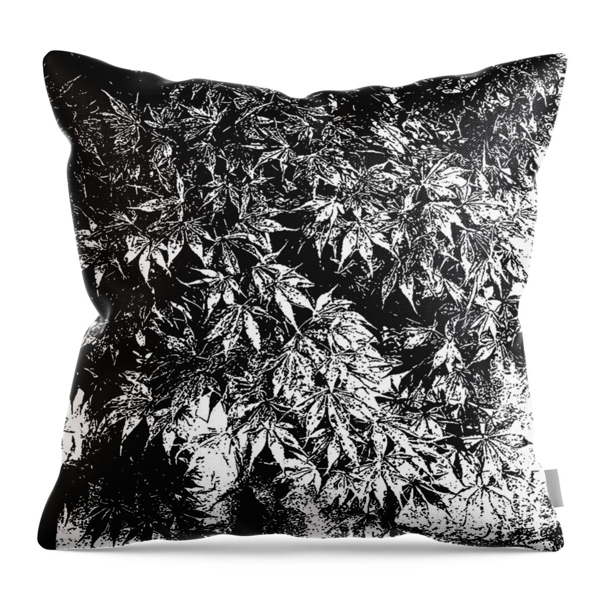 Still Life Throw Pillow featuring the drawing Japanese Maple in Pot Black and White #1 by Sharon Williams Eng