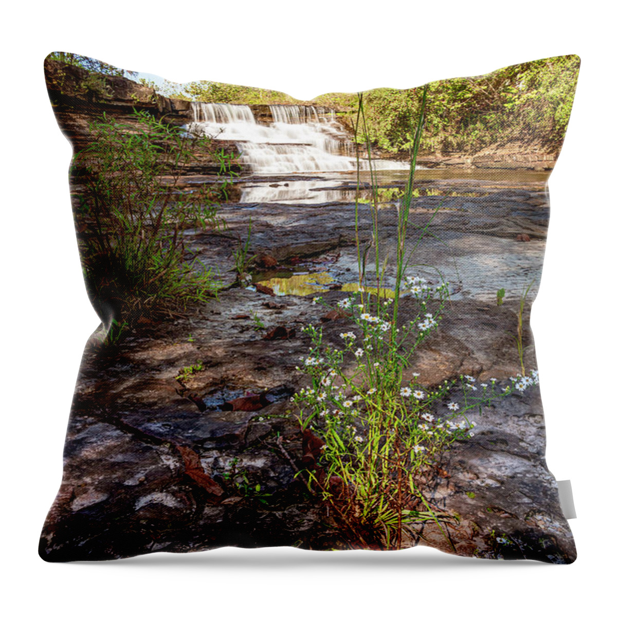Landscape Throw Pillow featuring the photograph Kinkaid Spillway #1 by Grant Twiss