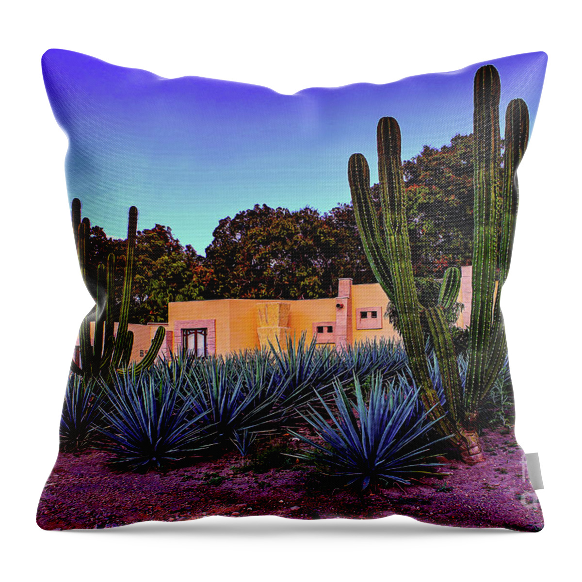 Hacienda Throw Pillow featuring the digital art La Hacienda in Tequila #1 by Marisol VB