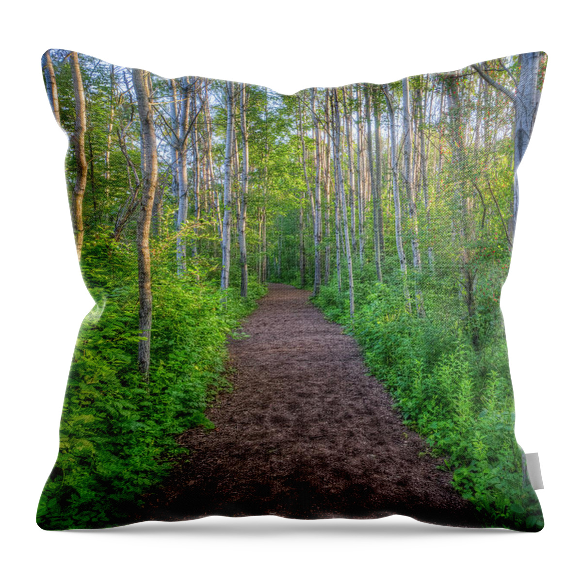 Path Throw Pillow featuring the photograph Lead the Way #1 by Brad Bellisle