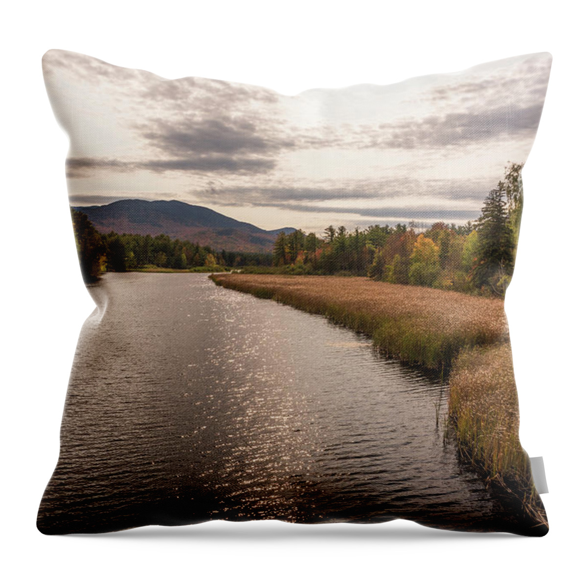 White Face Mountain Throw Pillow featuring the photograph Light and Dark #1 by Kristopher Schoenleber