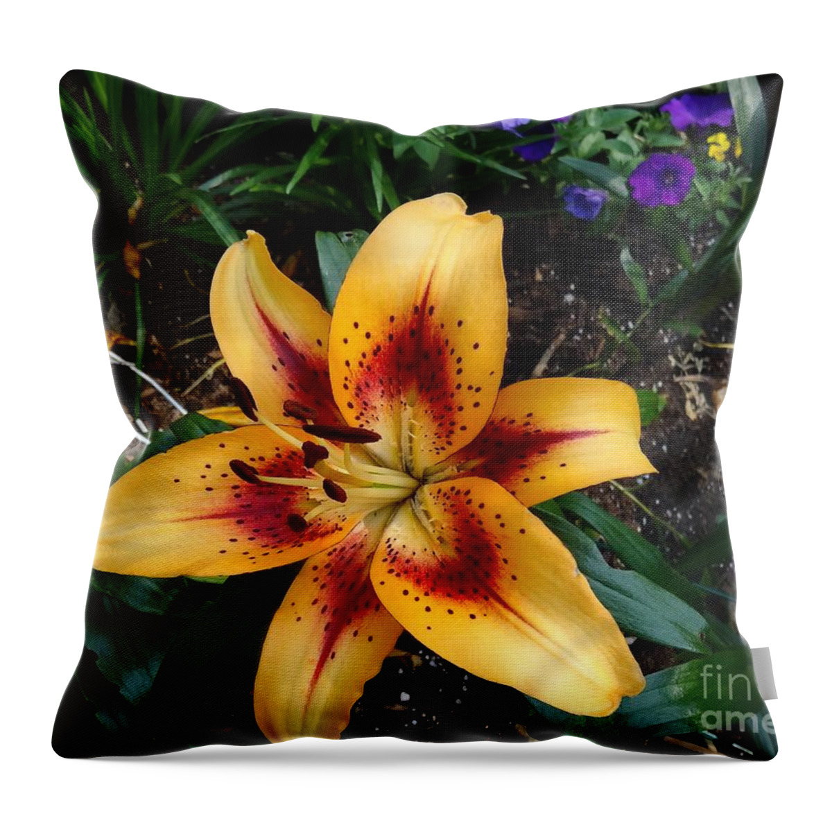  Throw Pillow featuring the photograph Lily #1 by Douglas W Warawa