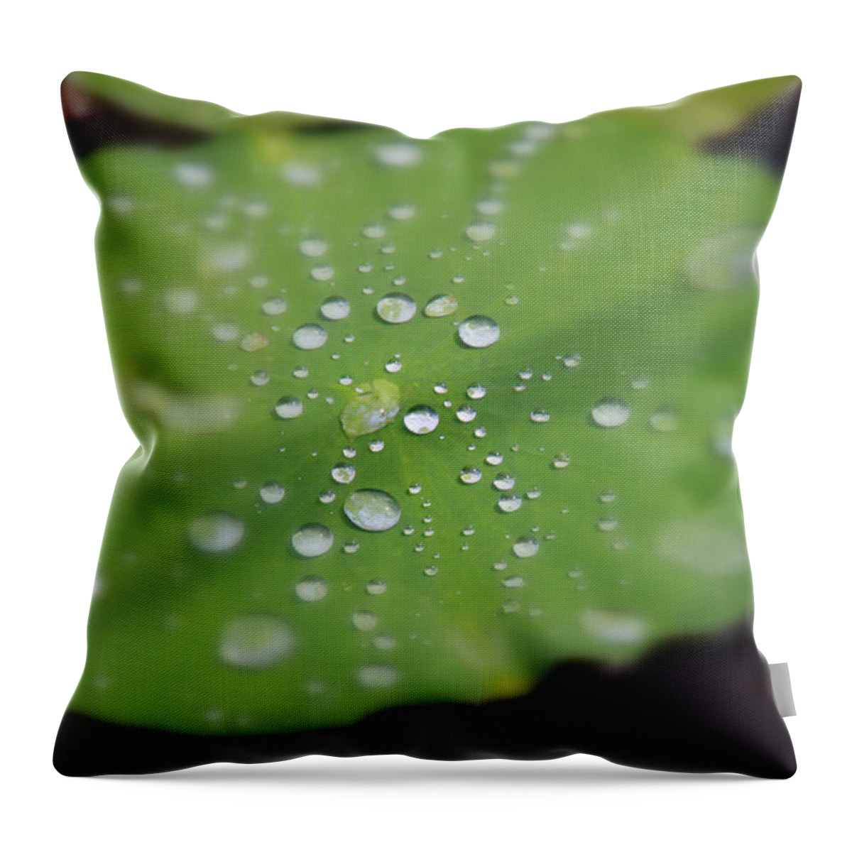 Green Water Throw Pillow featuring the photograph Lilypad #1 by Carolyn Stagger Cokley