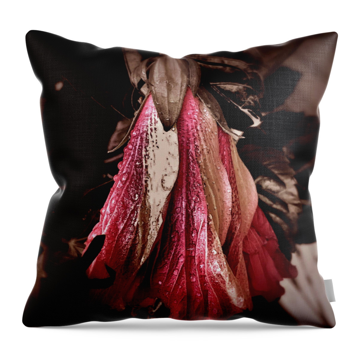  Throw Pillow featuring the photograph Looking around-318 #1 by Emilio Arostegui