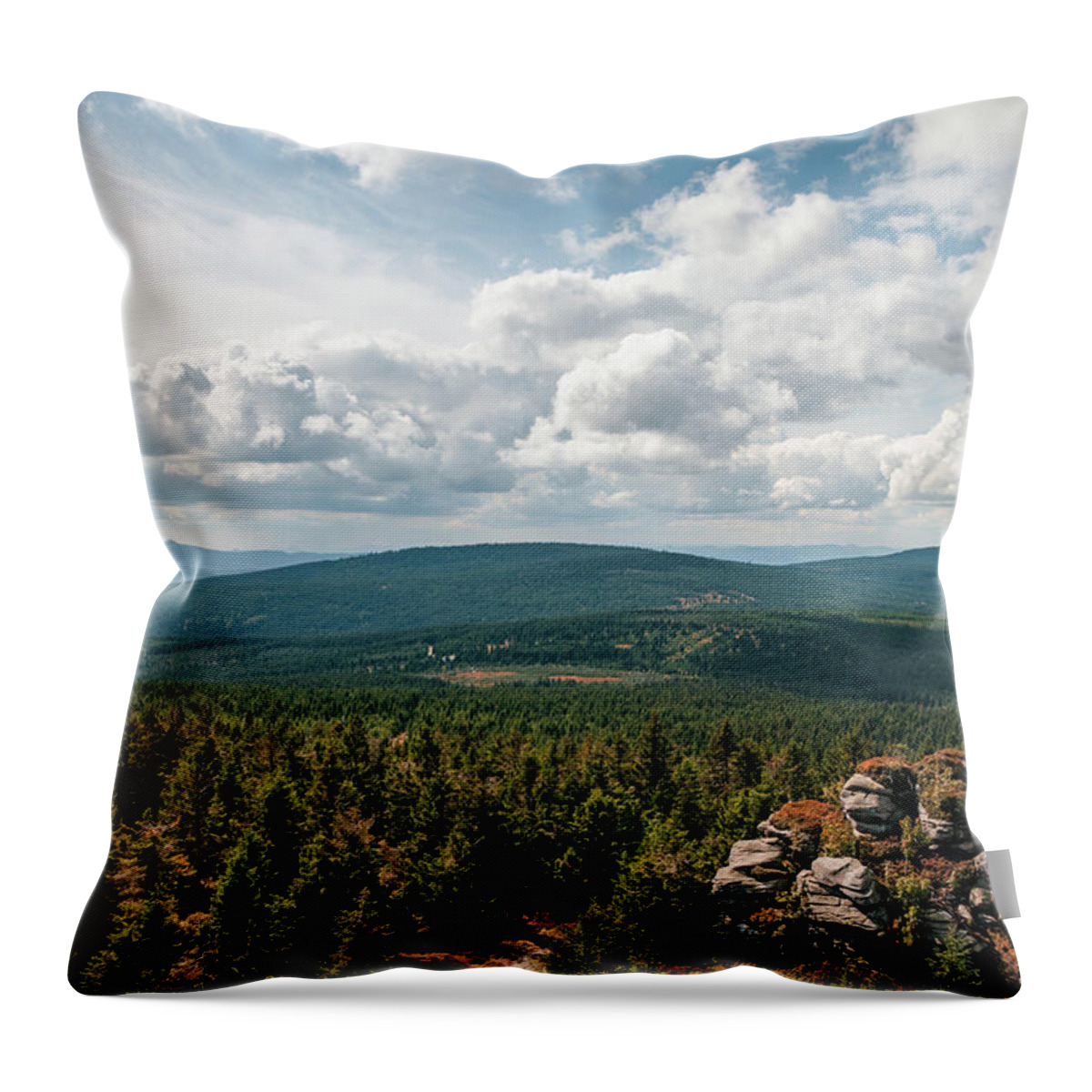 Symbiosis Throw Pillow featuring the photograph Lost in the wilderness #1 by Vaclav Sonnek