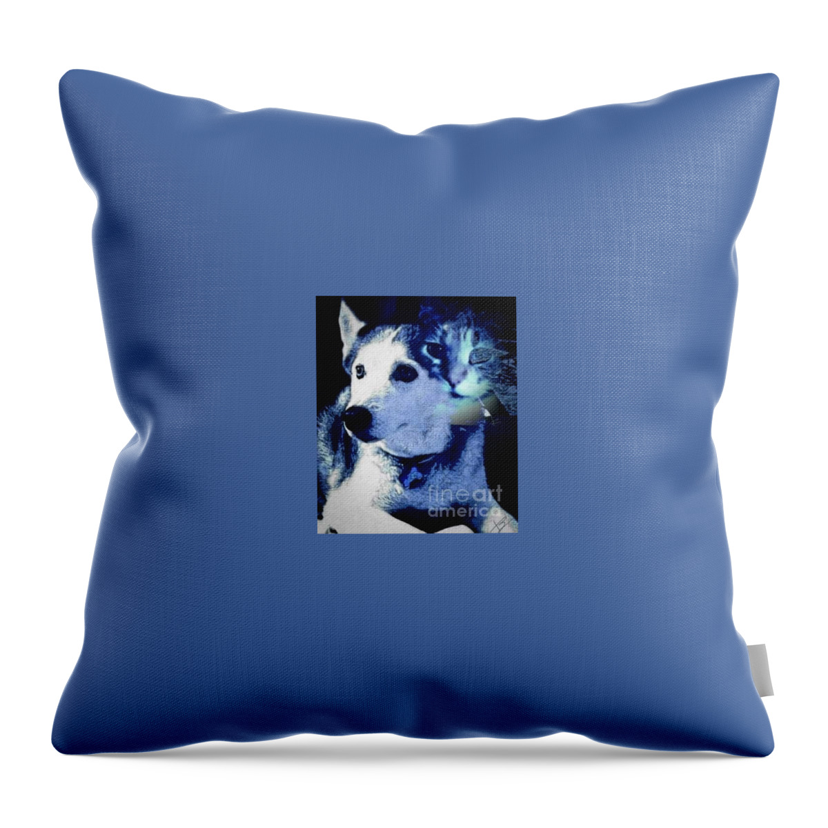 Friends Throw Pillow featuring the photograph Memories #1 by Rabiah Seminole