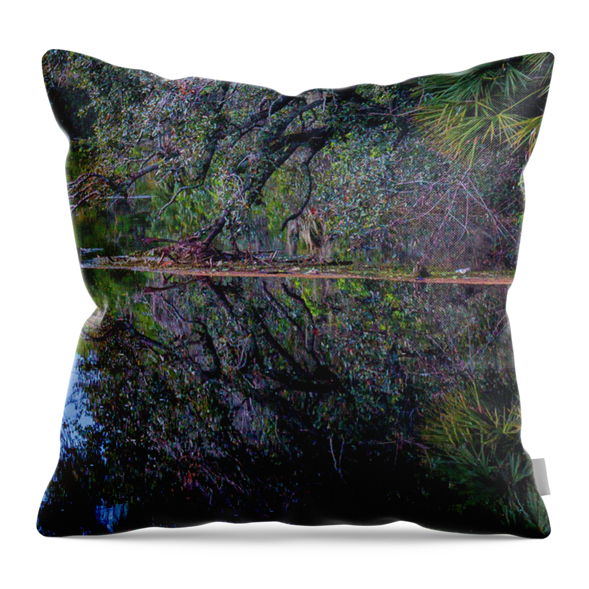 Water Throw Pillow featuring the photograph Mirror Image #1 by Les Greenwood
