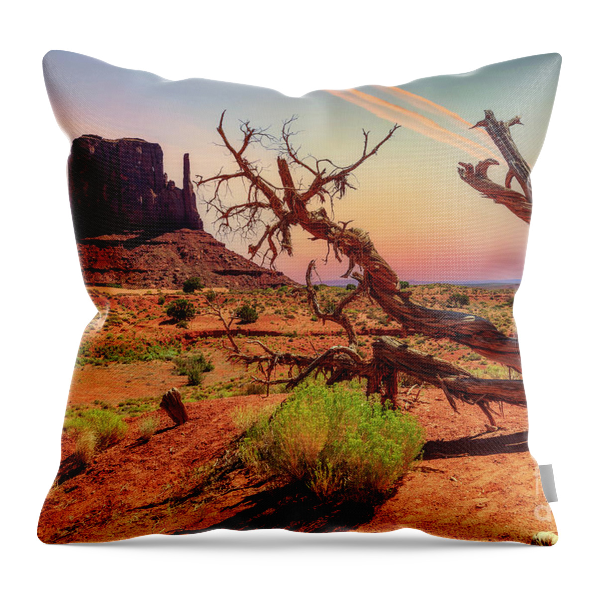Monument Valley Throw Pillow featuring the photograph Monument Valley, Utah #1 by Lev Kaytsner