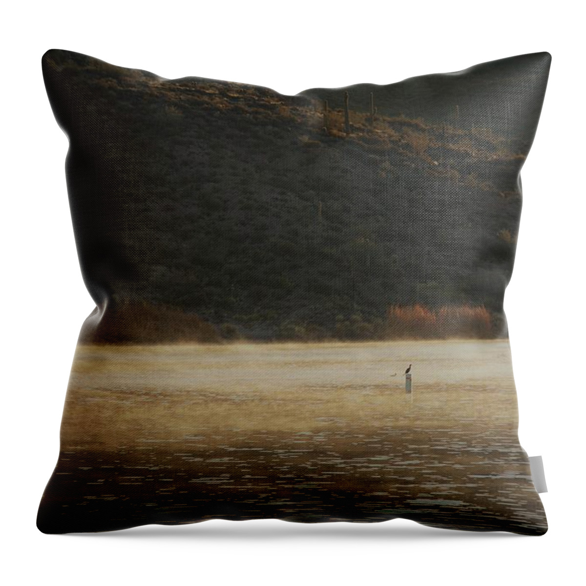 Lake Throw Pillow featuring the photograph Morning #1 by David S Reynolds