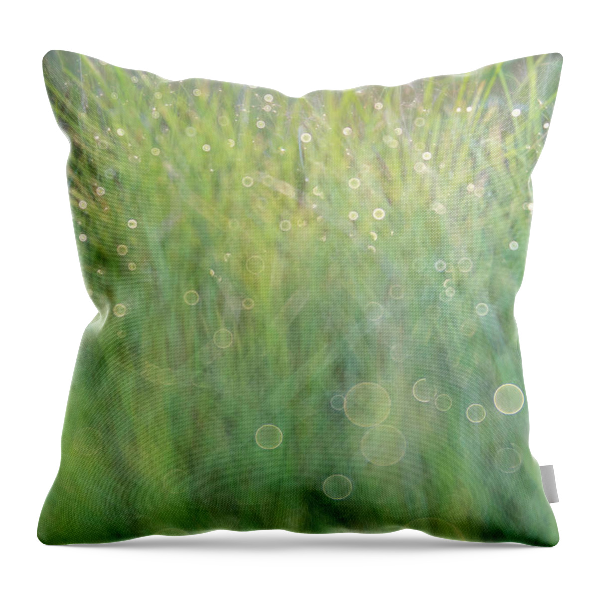 Morning Dew Throw Pillow featuring the photograph Morning Dew #1 by Forest Floor Photography