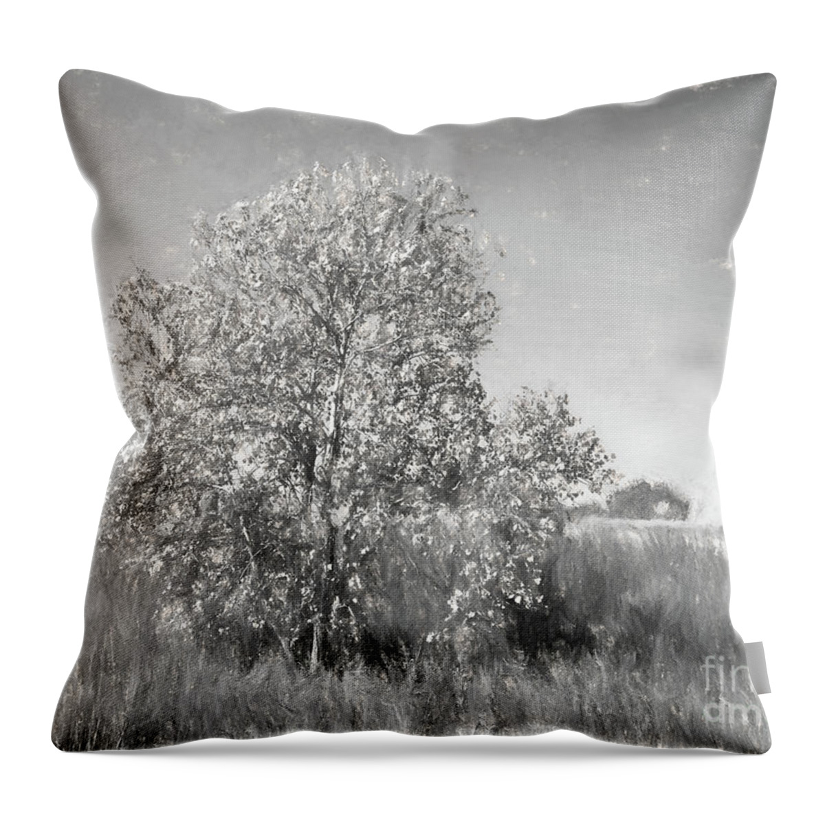 Mother Nature Throw Pillow featuring the photograph Mother Nature #2 by Gary Richards