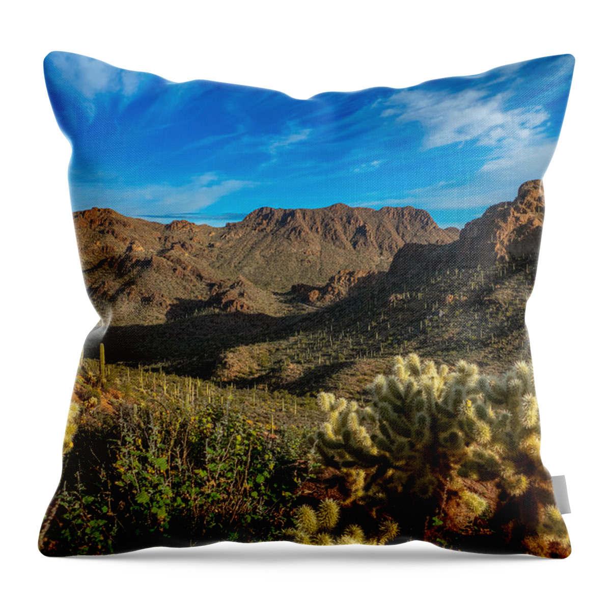 Golden Mountain Desert Saguaro Cactus Blue Sky Rock Cliffs Old Tucson Fstop101 Landscape Throw Pillow featuring the photograph Mountains of West Tucson #2 by Geno