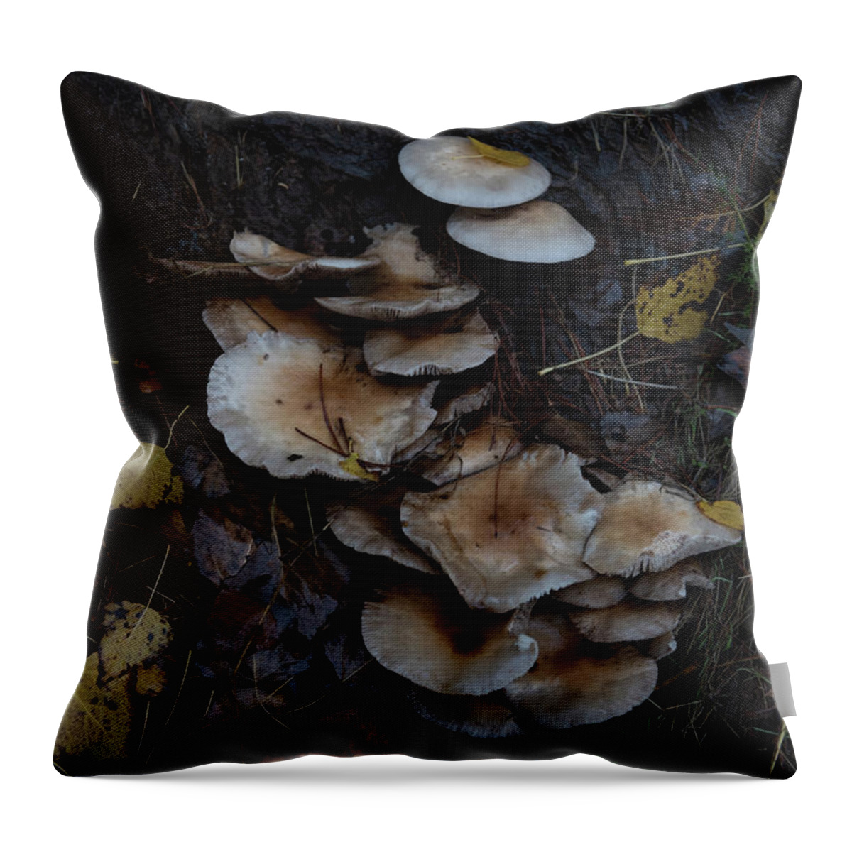 Europe Throw Pillow featuring the photograph Mushrooms #1 by Eleni Kouri