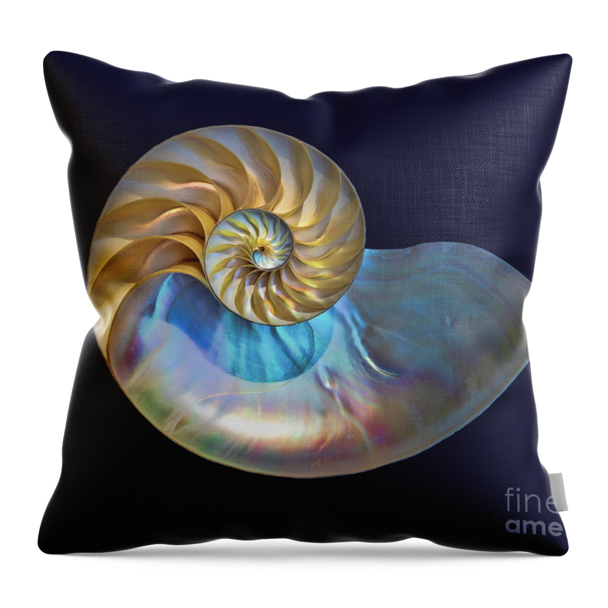 Nautilus Throw Pillow featuring the photograph Nautilus Shell #1 by Mimi Ditchie