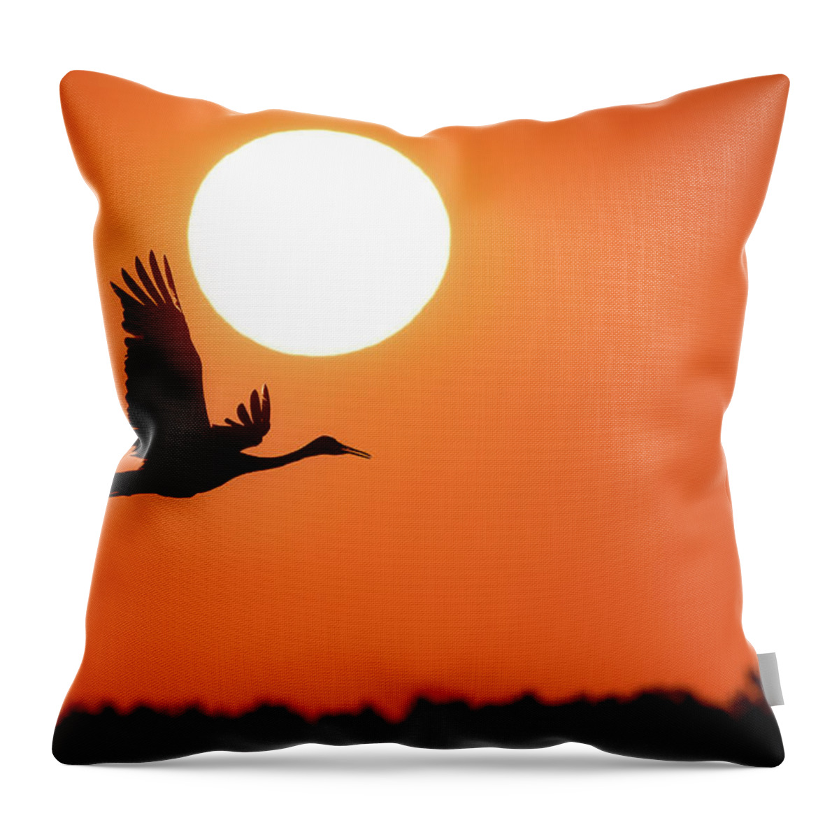 Crane Throw Pillow featuring the photograph New Day #1 by Brad Bellisle