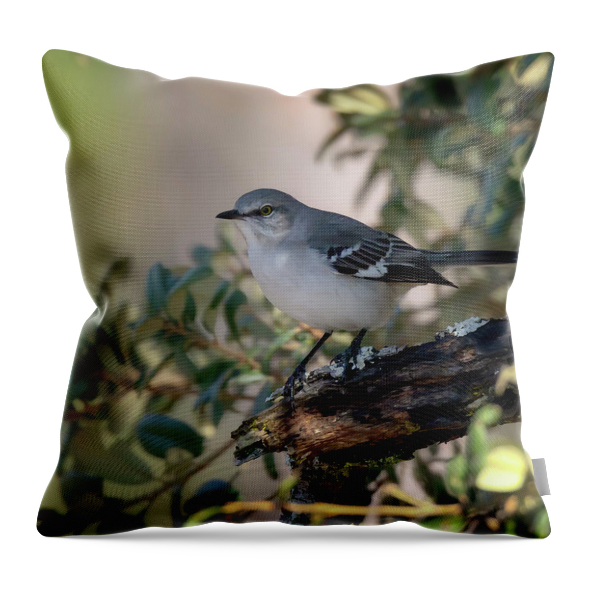 Mockingbird Throw Pillow featuring the photograph Northern Mockingbird #1 by Susan Rissi Tregoning