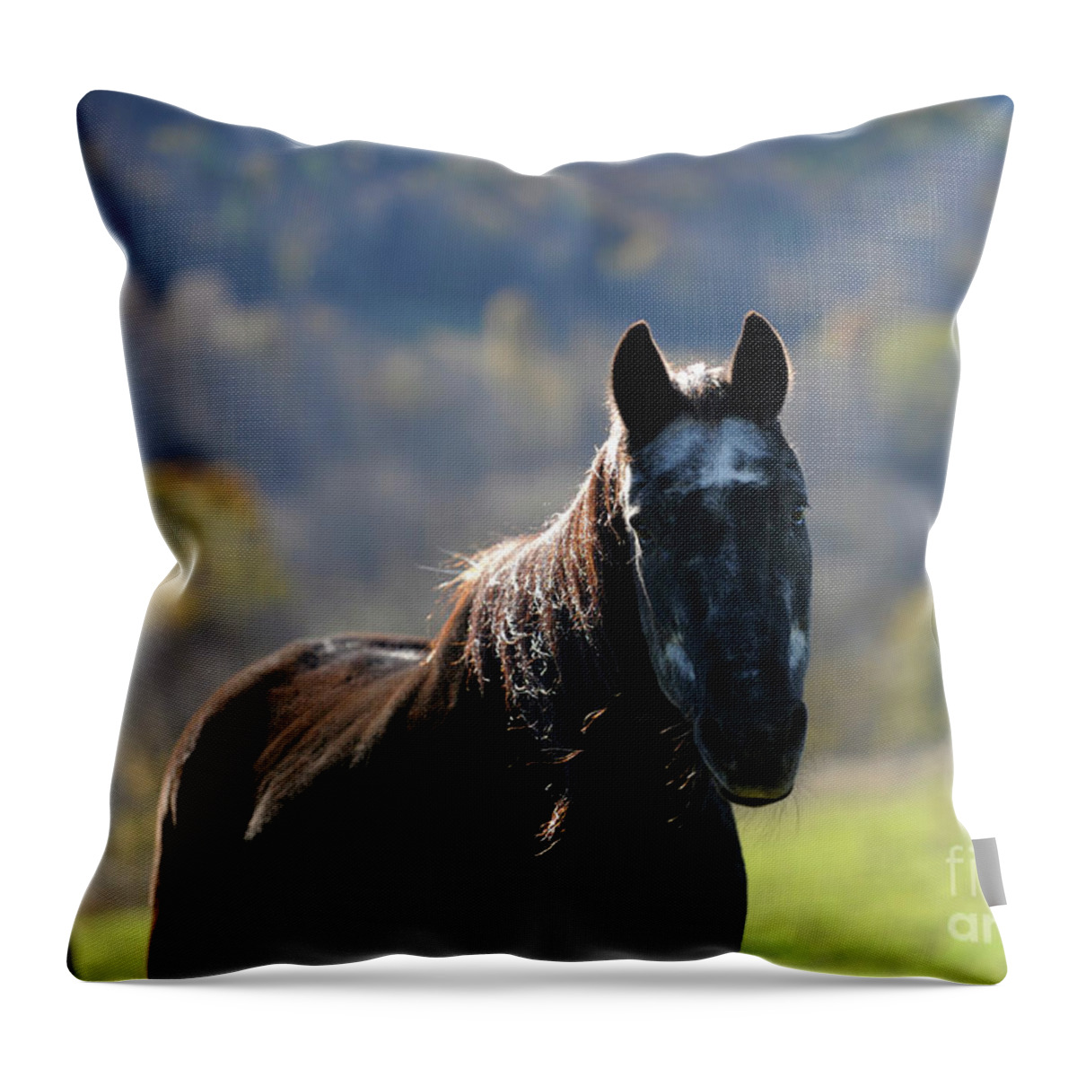 Rosemary Farm Throw Pillow featuring the photograph Oliver #1 by Carien Schippers