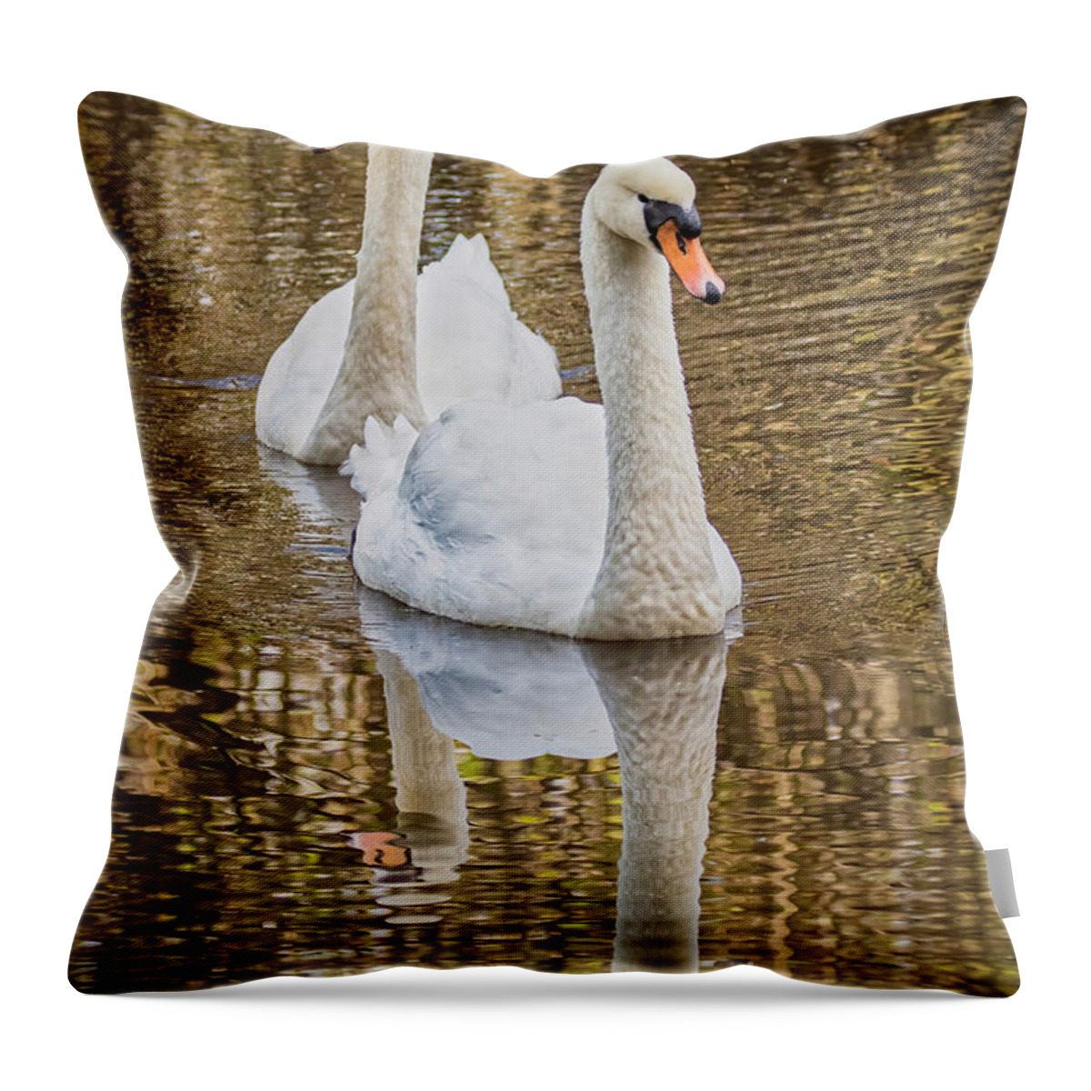 Mute Swan Throw Pillow featuring the photograph Golden Pond by Jurgen Lorenzen