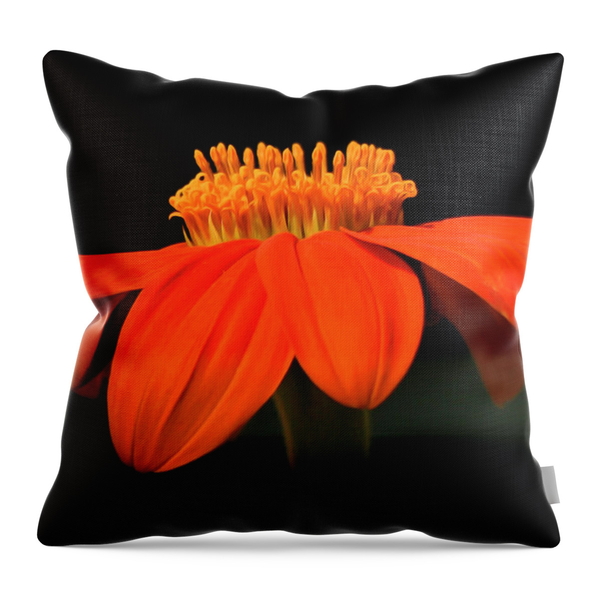 Orange Delight Throw Pillow featuring the photograph Orange Delight Wild Flower #1 by Sandra J's