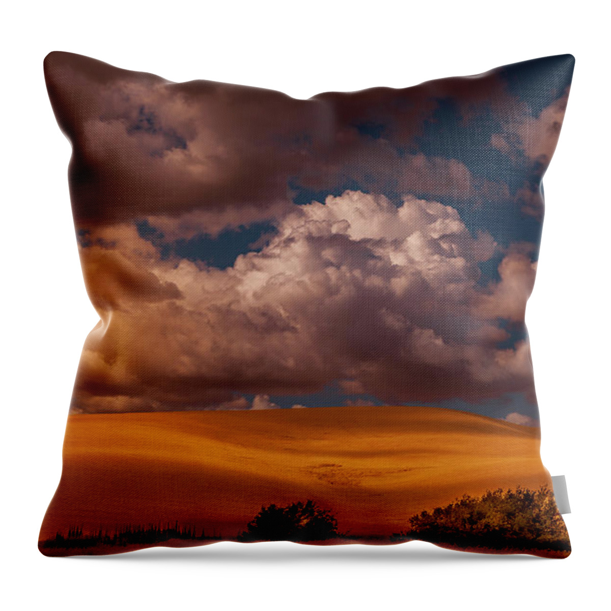 Palouse Hills Throw Pillow featuring the photograph Palouse Hills #1 by David Patterson