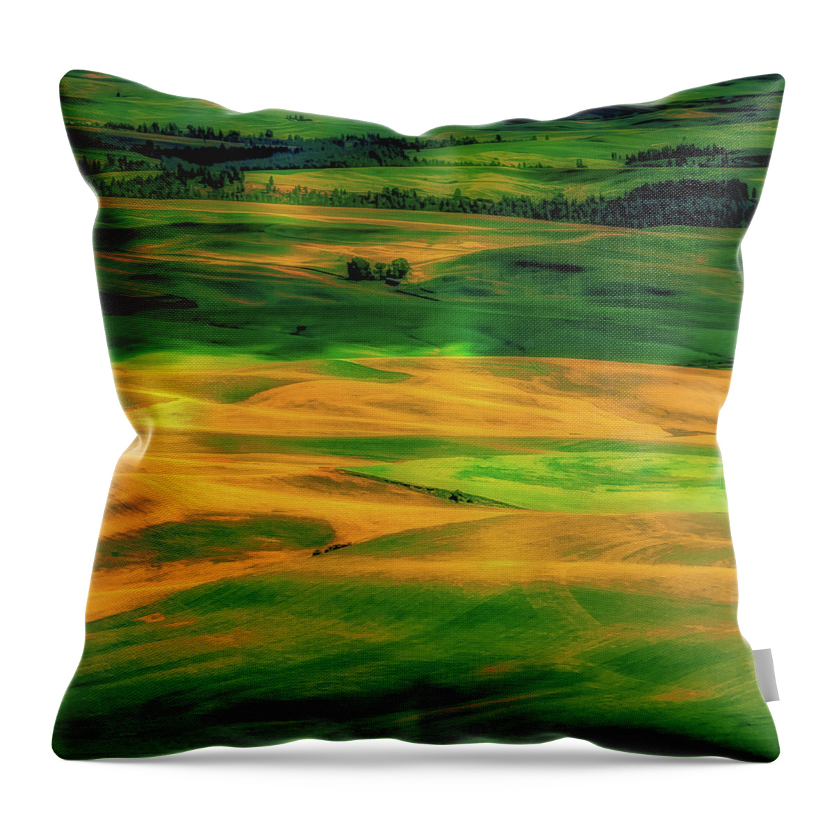 Hdr Throw Pillow featuring the photograph Palouse Shadows #1 by David Patterson
