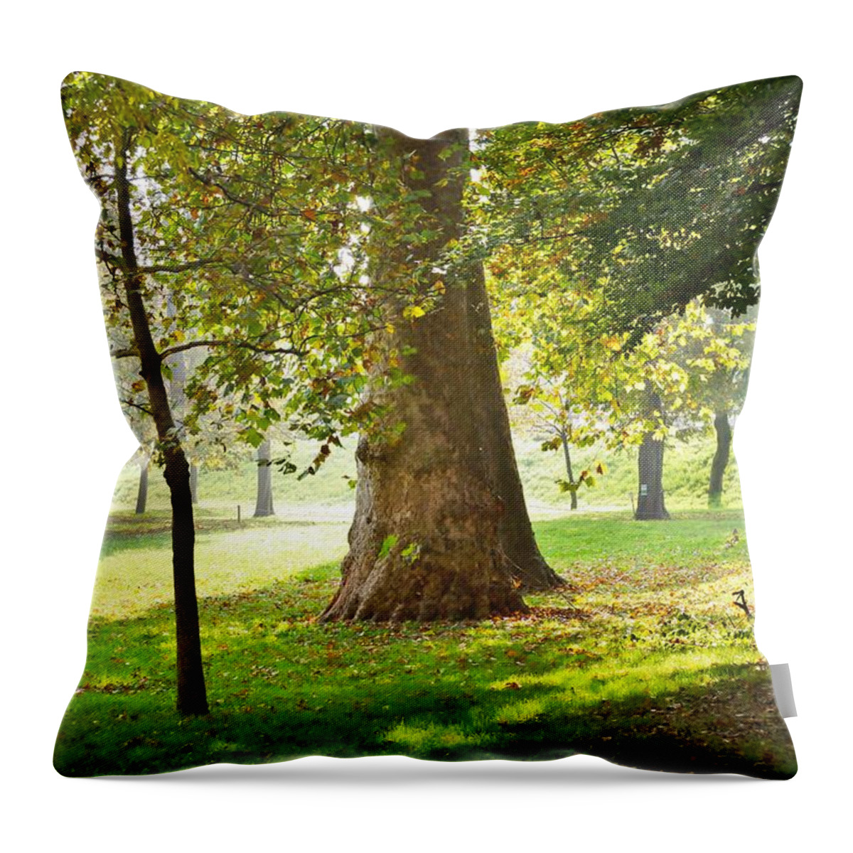 Trees Throw Pillow featuring the photograph Parco Cavour. Ottobre 2016 #5 by Marco Cattaruzzi